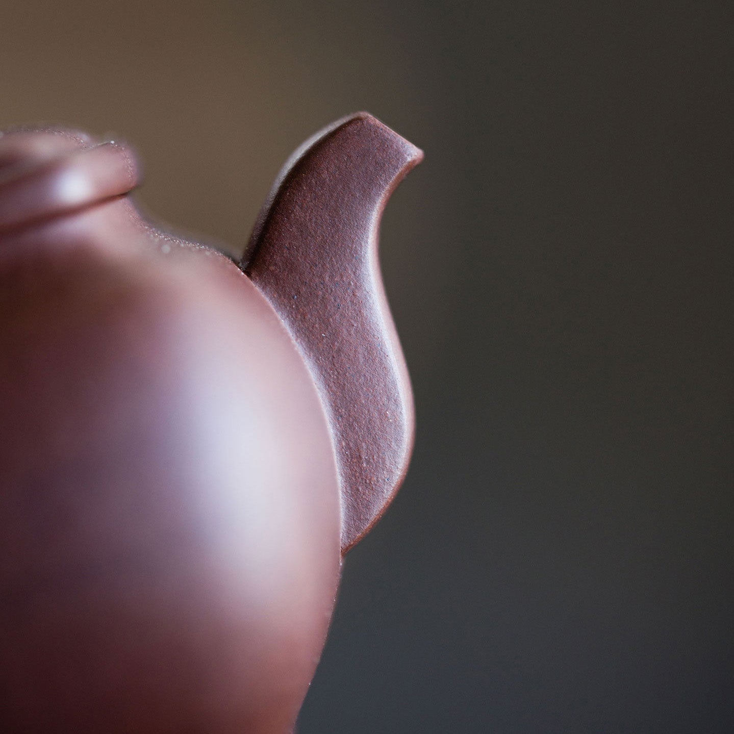 Yun Si Fang （Totoro painting） Yixing Teapot 100ml