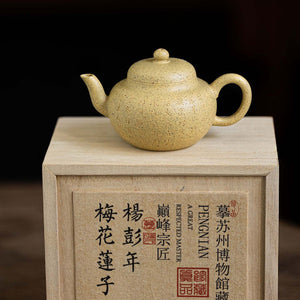 Lian zi Yixing teapot 150ml – Yinchen Studio