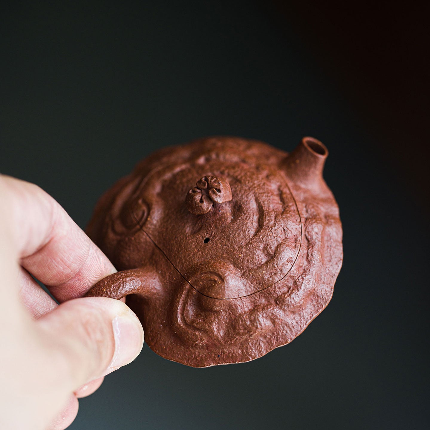 Small Ganoderma Lucidum Yixing Teapot   70ml