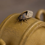 Bamboo Cicada Yixing teapot  130ml