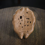 Oracle Bone Teaboat