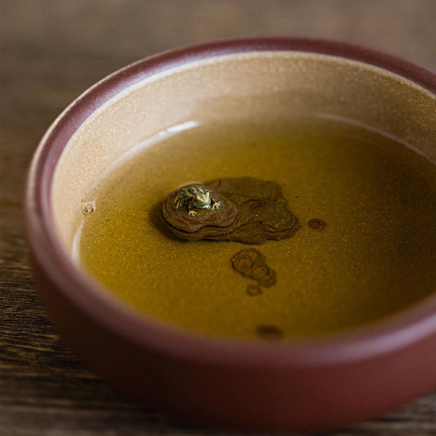 レンゾット 中国カフェ纏め Zini – Yinchen Studio レンゾット 中国カフェ纏め Zini – Yinchen Studio