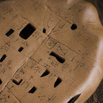 Oracle Bone Teaboat